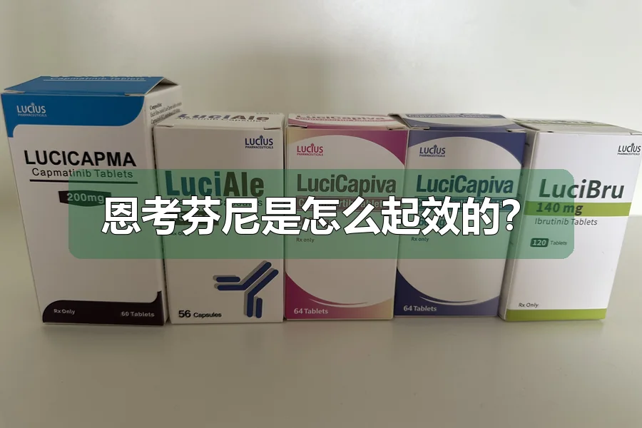 恩考芬尼是怎么起效的？